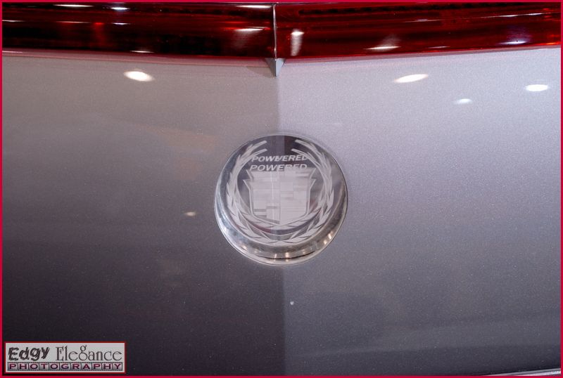 sema-2009-nikon-176.jpg