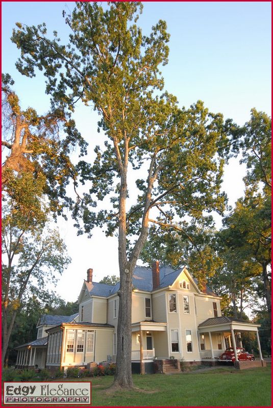 real-estate-20080922-alexander-house-021-resized.jpg
