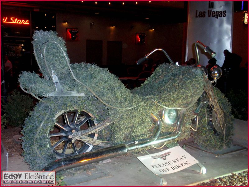 sema-2009-oly-117.jpg