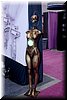 sema-2009-nikon-140.jpg