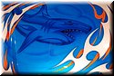 sema-2009-nikon-212.jpg