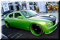 sema-2009-nikon-368.jpg