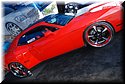 sema-2009-nikon-378.jpg