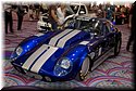 sema-2009-nikon-408.jpg