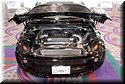 sema-2009-nikon-426.jpg