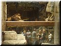 sema-2009-oly-025.jpg