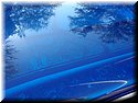 sema-2009-oly-060.jpg