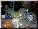 sema-2009-oly-116.jpg