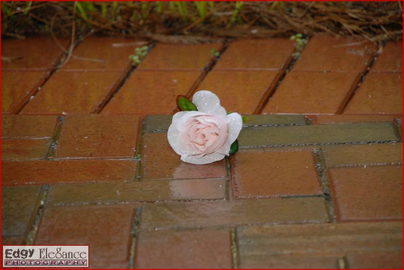 wedding-deas-20080426-combined-278.jpg