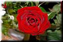 wedding-20080510-kindley-love-1391.jpg