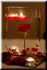 wedding-20080510-kindley-love-1483.jpg