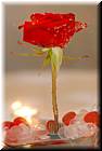 wedding-20080510-kindley-love-1489.jpg