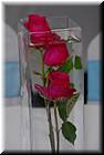 wedding-20080607-amy-chad-1422.jpg