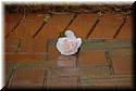 wedding-deas-20080426-combined-278.jpg