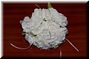 wedding-quiza-dan-20080405-0141.jpg