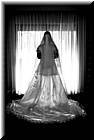 wedding-quiza-dan-20080405-0246.jpg