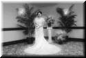wedding-quiza-dan-20080405-0564.jpg