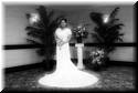 wedding-quiza-dan-20080405-0565.jpg