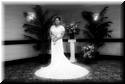 wedding-quiza-dan-20080405-0570.jpg