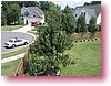 Sample-30.jpg