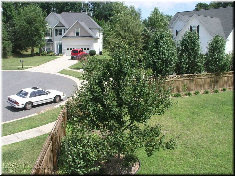Sample-30.jpg